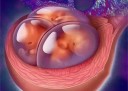 什么时候同房容易保定代怀孕